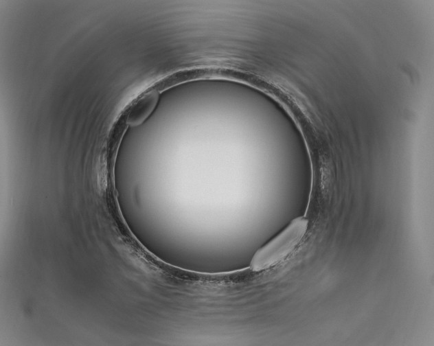 X0000111861069200907231447