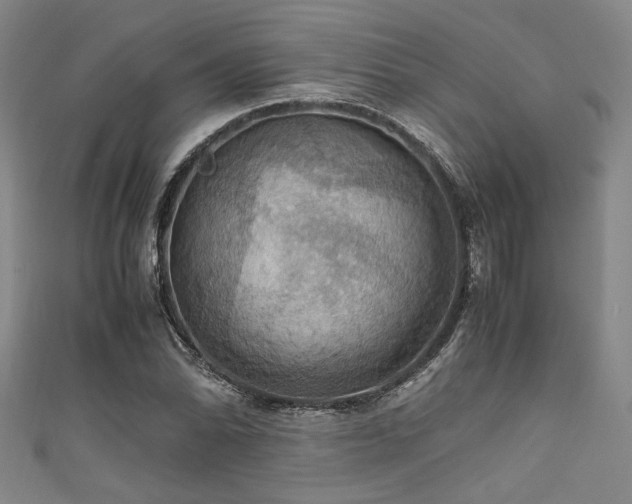 X0000111861070200907231447
