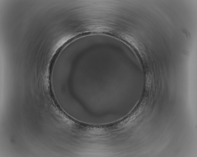X0000111861071200907231447