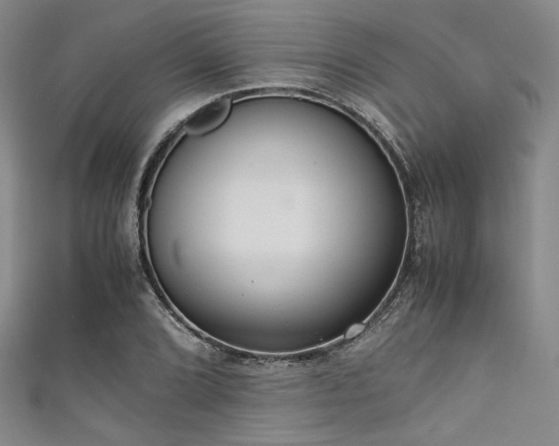 X0000111861072200907231447