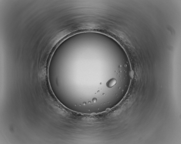 X0000111861073200907231447