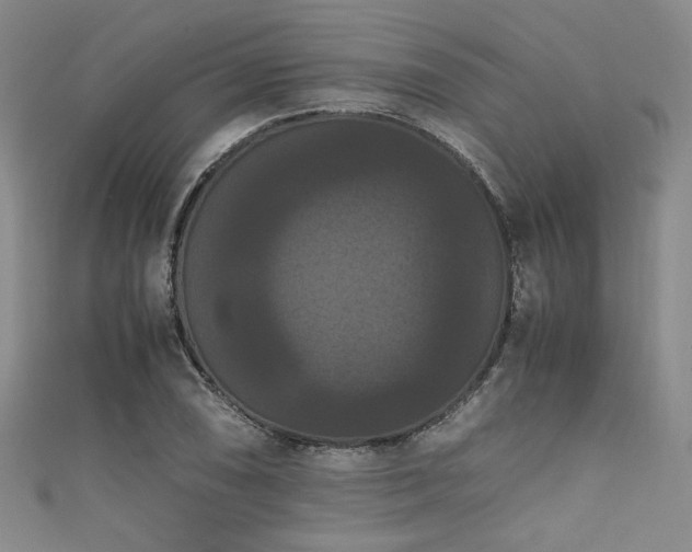 X0000111861074200907231447