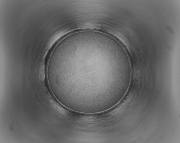 X0000111861075200907231447