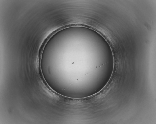 X0000111861076200907231447