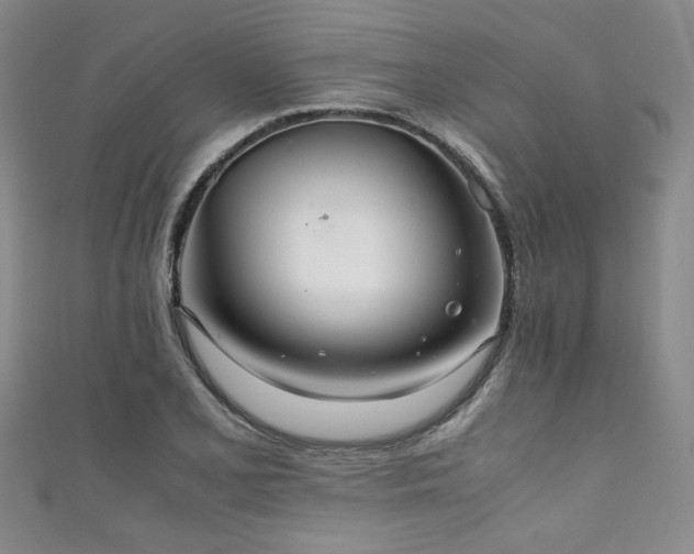 X0000111861077200907231447