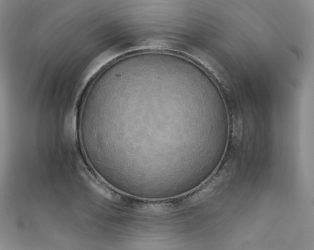X0000111861078200907231447