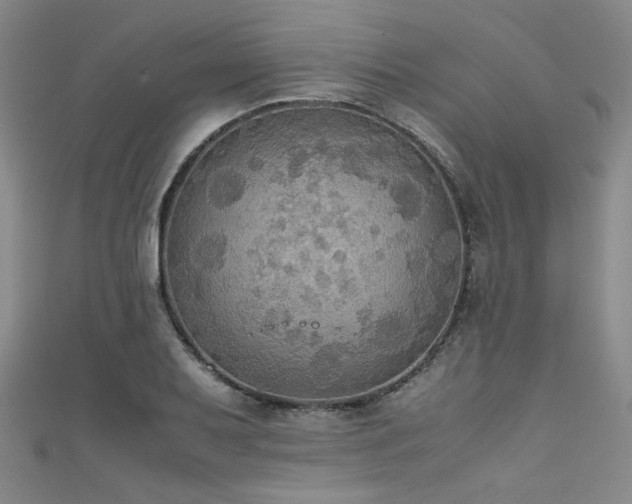 X0000111861079200907231447