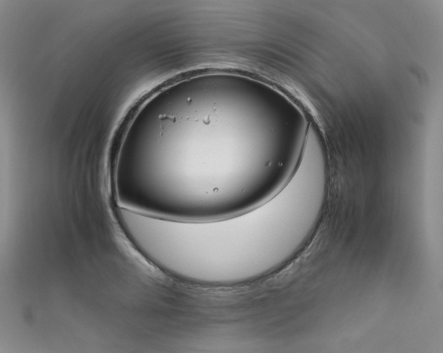 X0000111861080200907231447