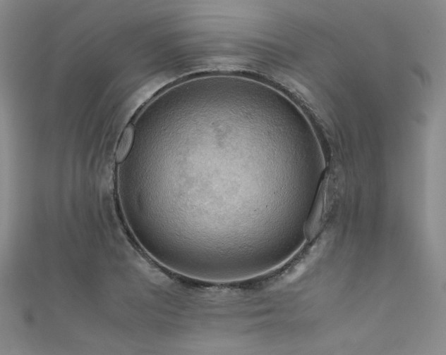 X0000111861081200907231447