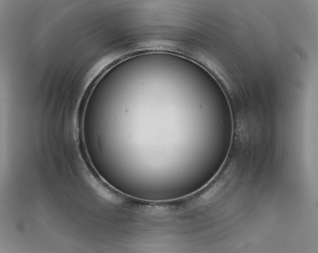 X0000111861082200907231447