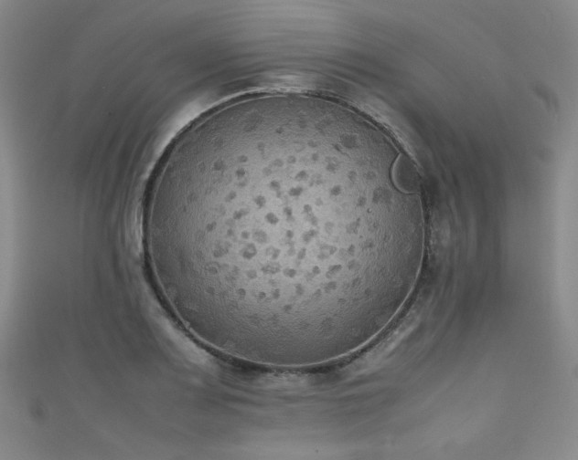 X0000111861083200907231447