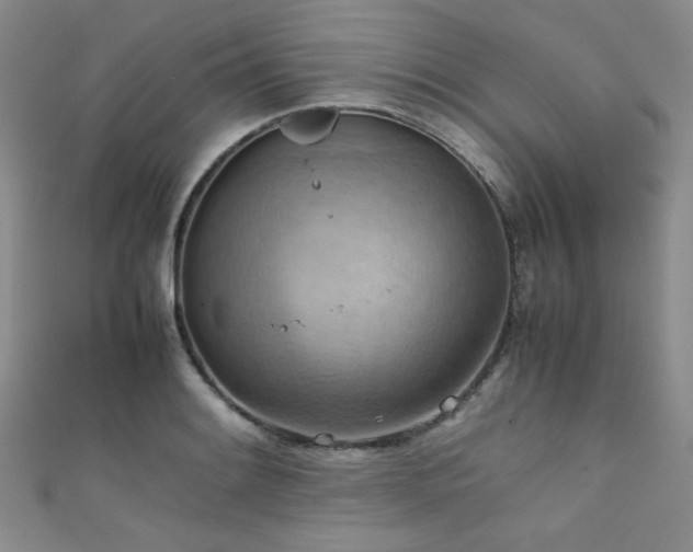 X0000111861084200907231447