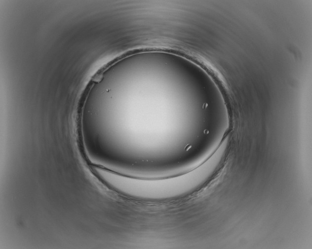 X0000111861085200907231447