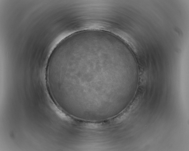 X0000111861086200907231447