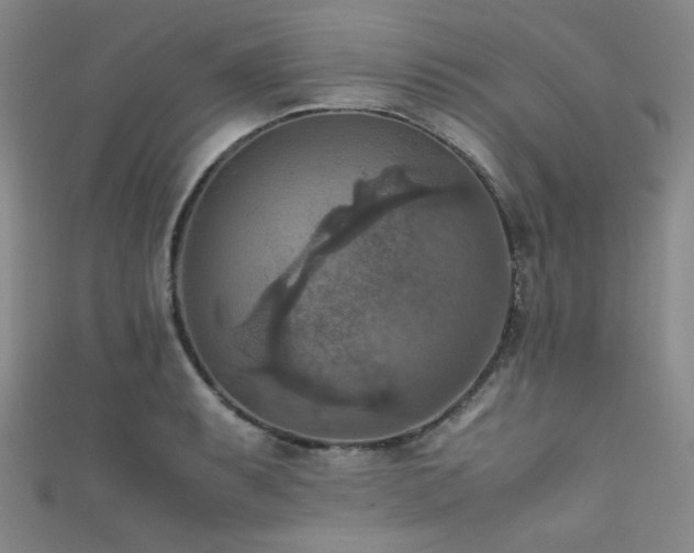 X0000111861087200907231447
