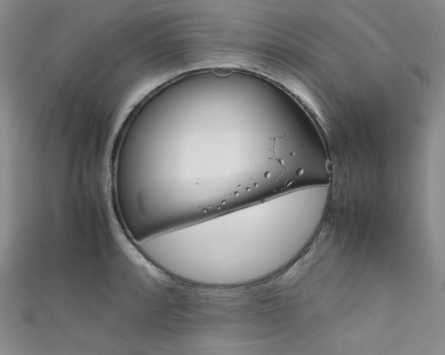 X0000111861088200907231447