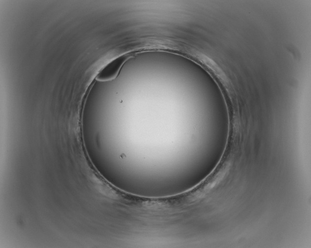 X0000111861089200907231447