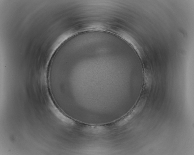 X0000111861090200907231447