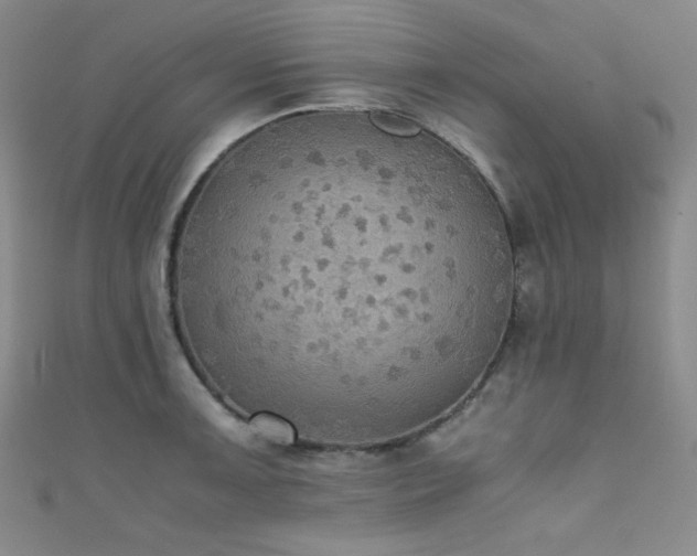 X0000111861091200907231447