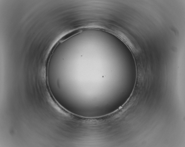 X0000111861092200907231447
