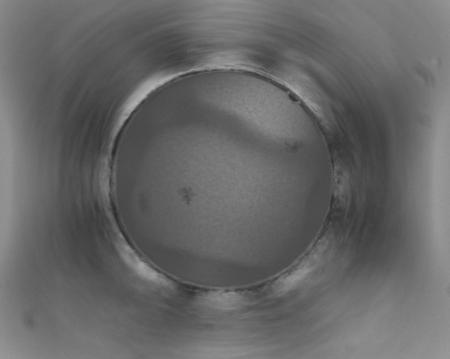 X0000111861094200907231447