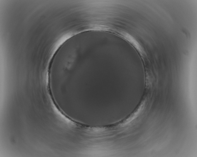 X0000111861095200907231447