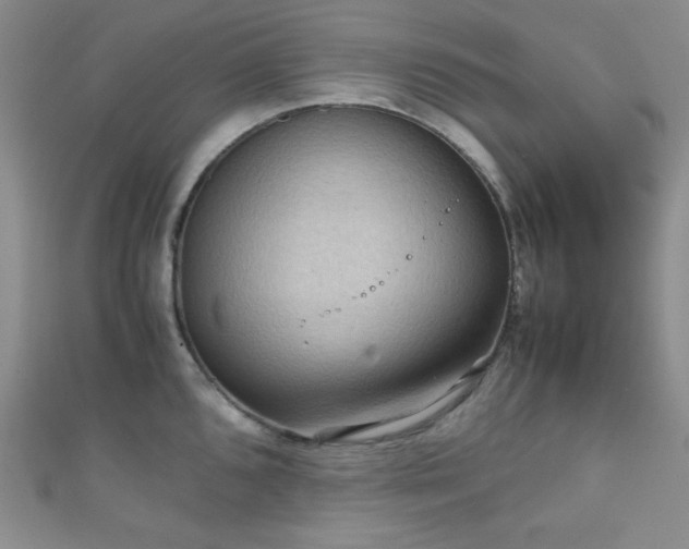 X0000111861096200907231447