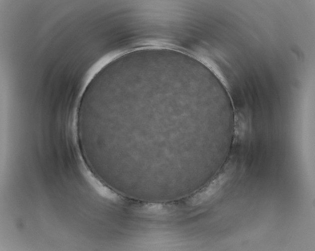 X0000111861098200907231447