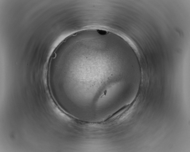 X0000111861102200907231447