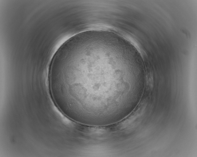 X0000111861103200907231447