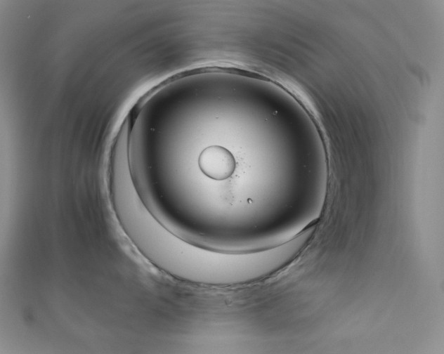 X0000111861104200907231447