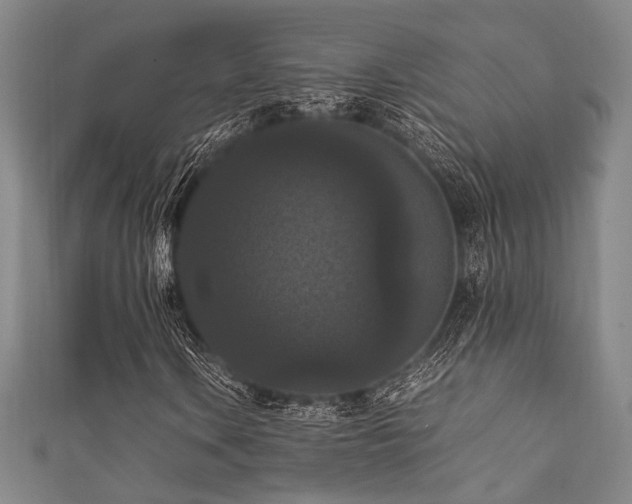 X0000111861106200907231446
