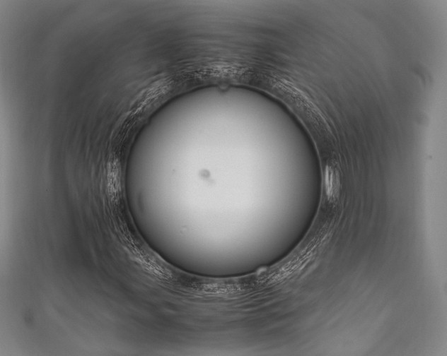 X0000111861107200907231446