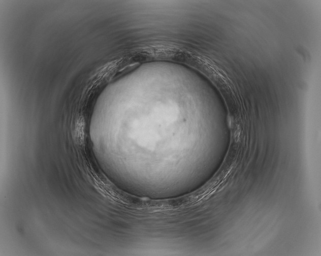 X0000111861108200907231446