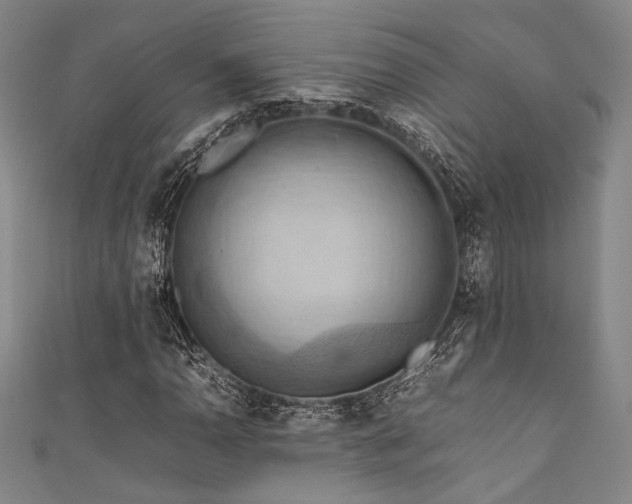 X0000111861110200907231446