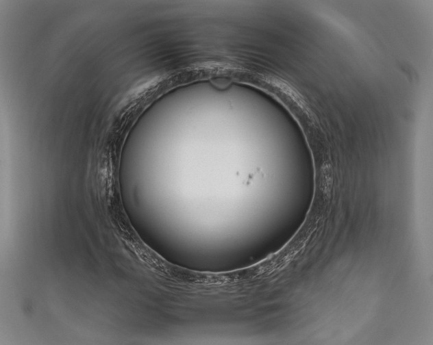 X0000111861111200907231446