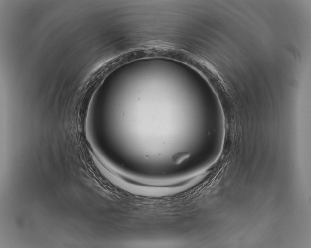 X0000111861112200907231446