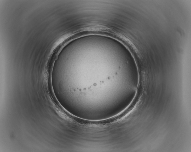 X0000111861114200907231446