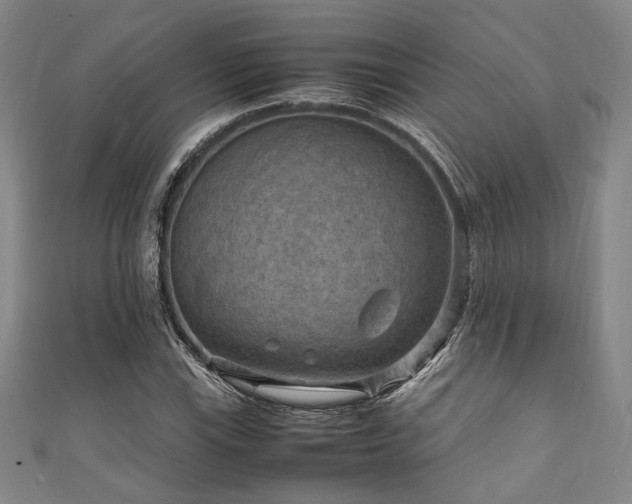 X0000111861115200907231446