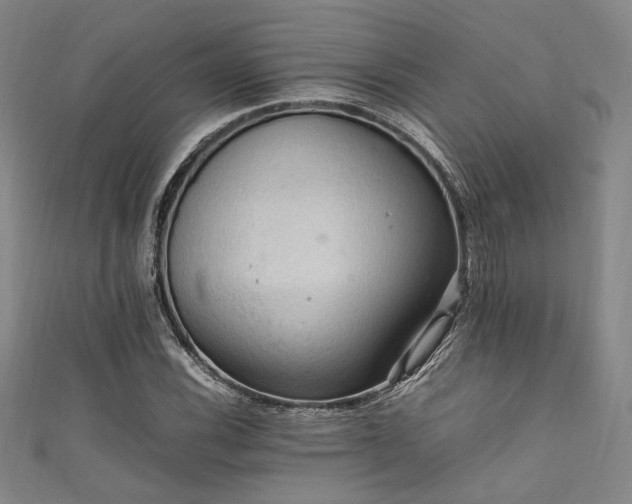 X0000111861116200907231446