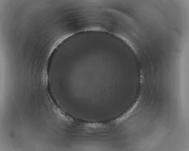 X0000111861117200907231446