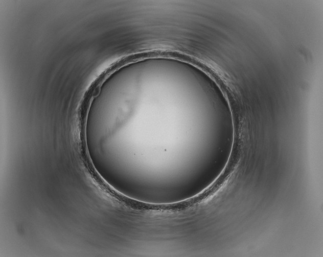 X0000111861118200907231446