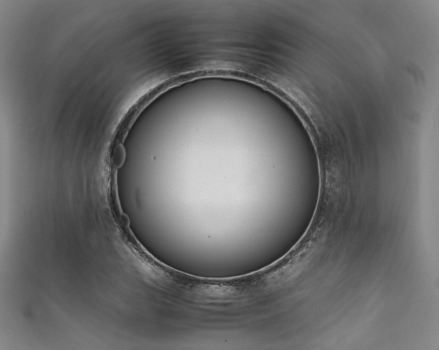 X0000111861119200907231446