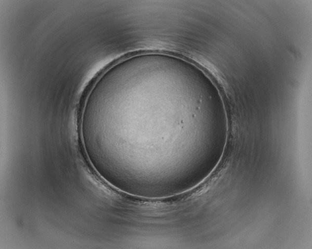 X0000111861120200907231446