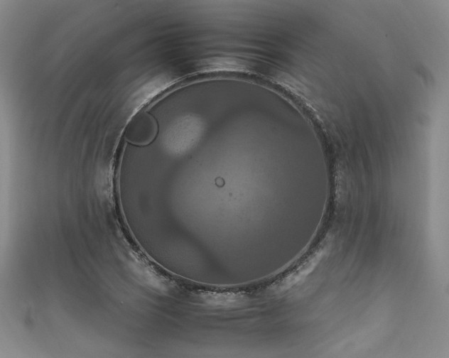 X0000111861121200907231446