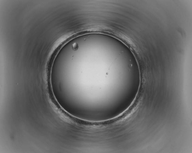 X0000111861122200907231446