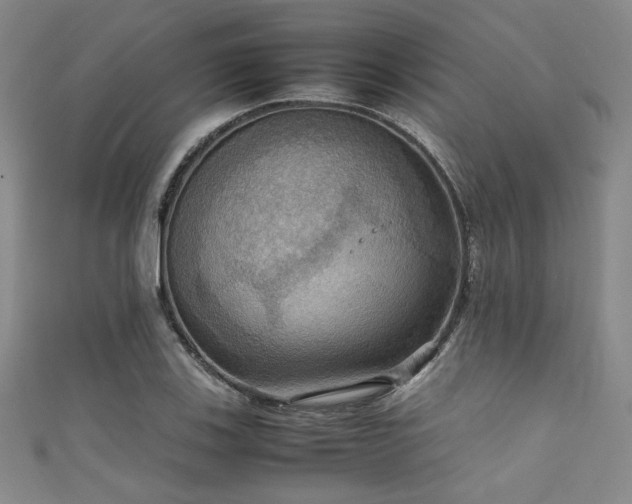X0000111861123200907231446