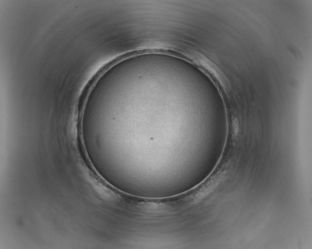 X0000111861124200907231446