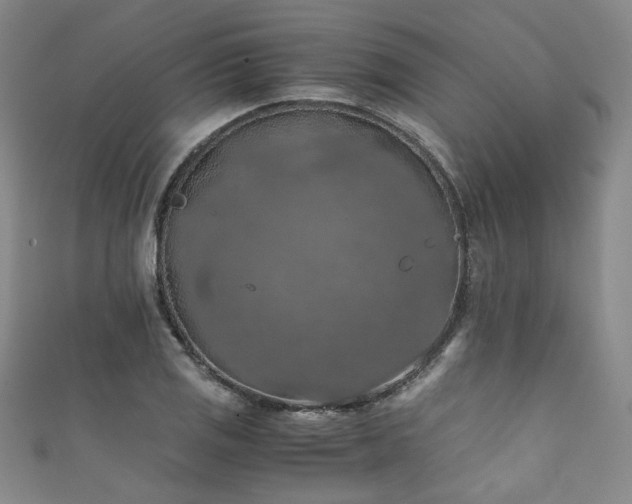 X0000111861125200907231446