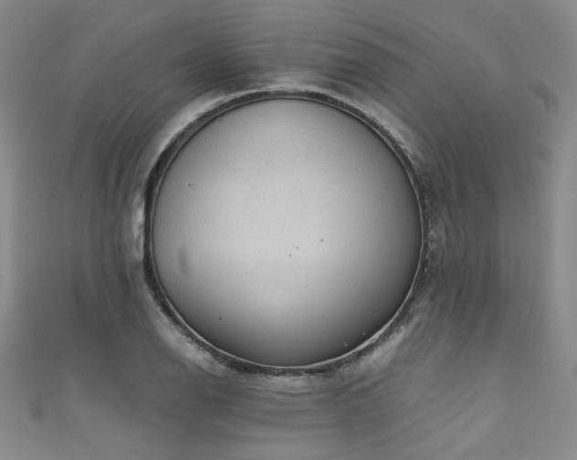 X0000111861126200907231446